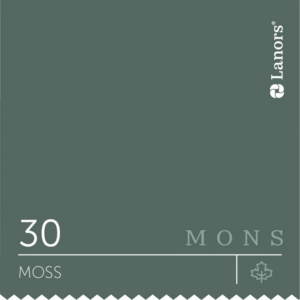 Краска Lanors Mons «Moss» (Мох), 30